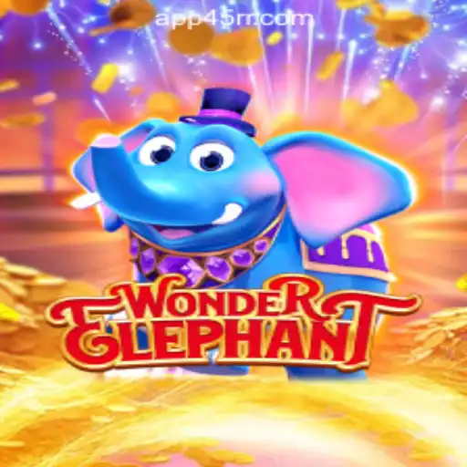 Exploring the World of WonderElephant: A Comprehensive Guide